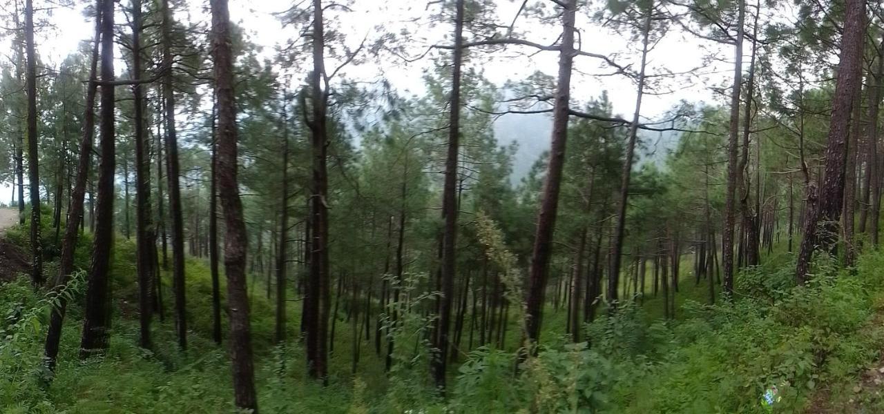 Thakur Homes- Couple And Family Friendly Homestay Шімла Екстер'єр фото